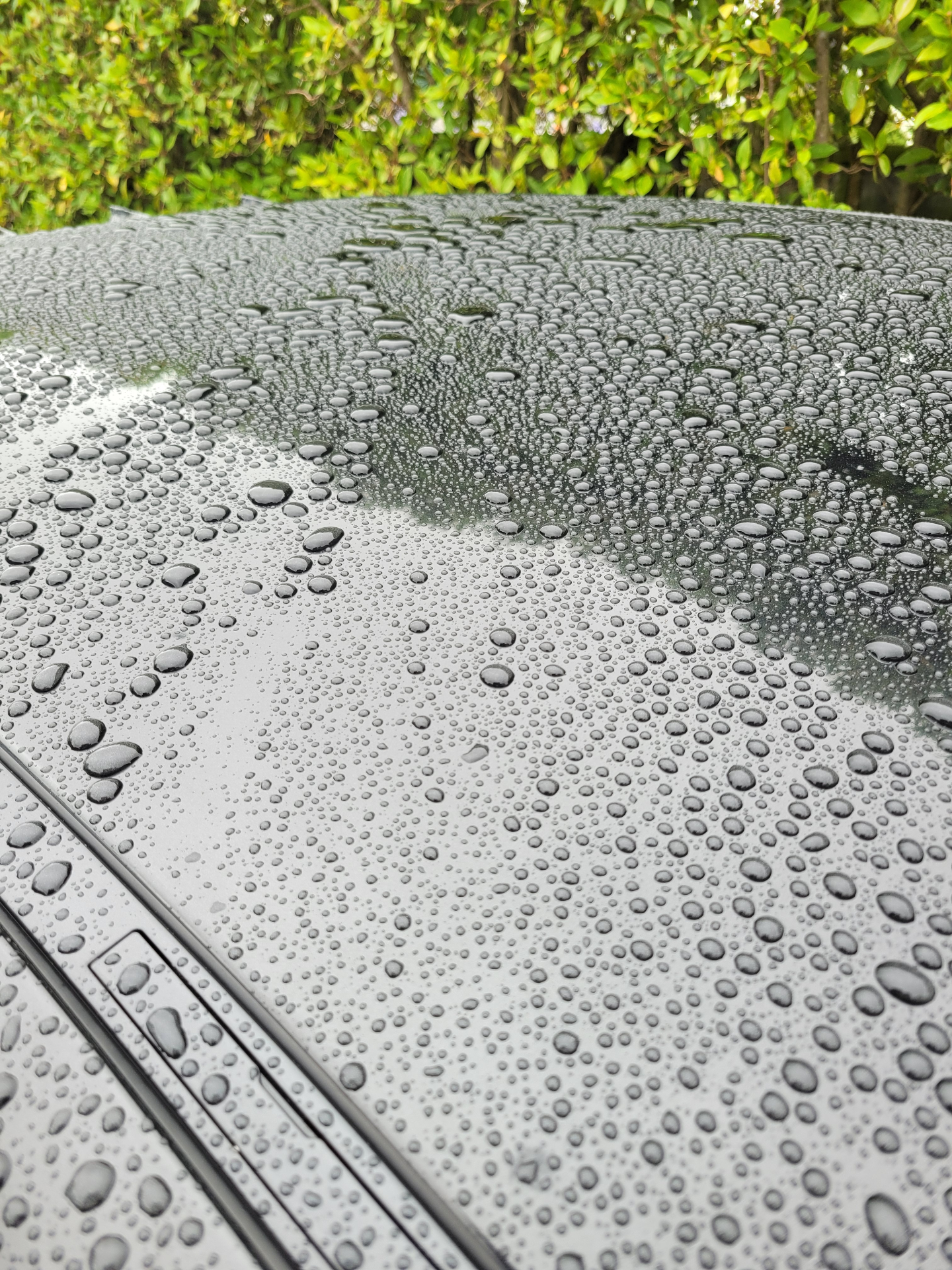 Water beading across a protected vehicle surface after treatment